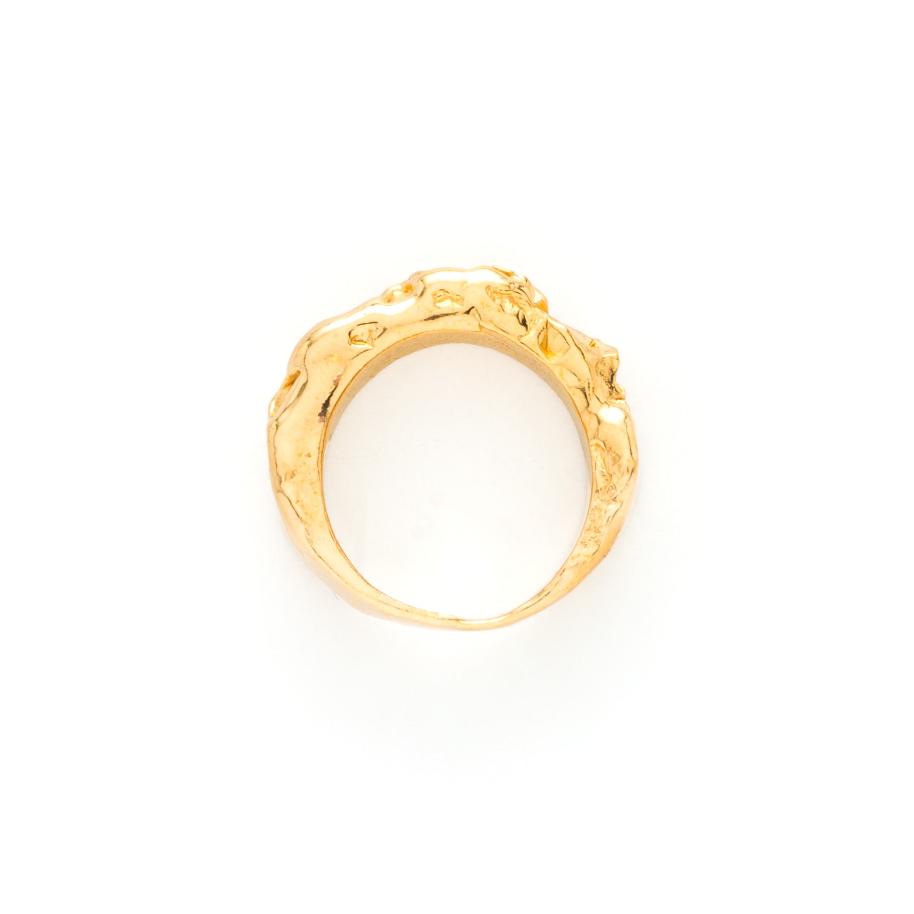 Olgivie Ring in Gold by What If You Stayed Jewelry textured Ring Organic Style 